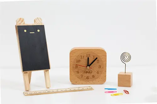 大连大学张雨晨简介资料