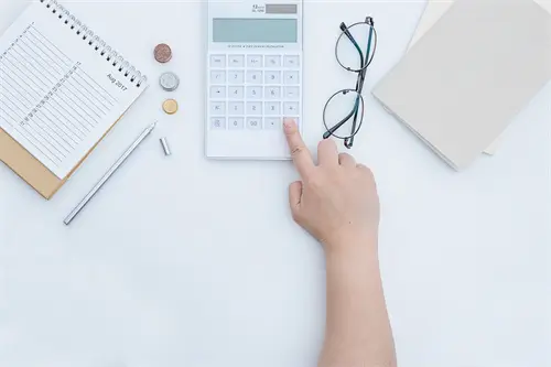 上海大学 王紫菲简介